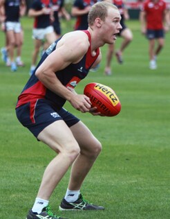 130201_TerlichM.jpg